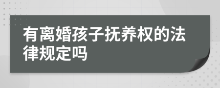 有离婚孩子抚养权的法律规定吗