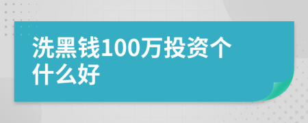 洗黑钱100万投资个什么好