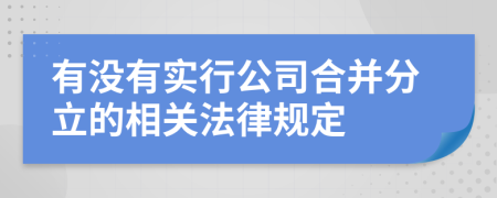 有没有实行公司合并分立的相关法律规定