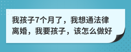 我孩子7个月了，我想通法律离婚，我要孩子，该怎么做好