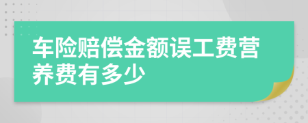 车险赔偿金额误工费营养费有多少