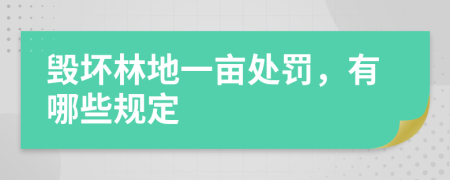 毁坏林地一亩处罚，有哪些规定