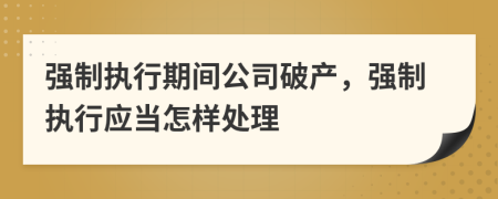 强制执行期间公司破产，强制执行应当怎样处理