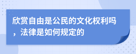 欣赏自由是公民的文化权利吗，法律是如何规定的