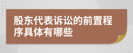 股东代表诉讼的前置程序具体有哪些