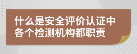 什么是安全评价认证中各个检测机构都职责