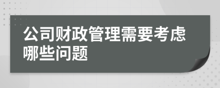 公司财政管理需要考虑哪些问题