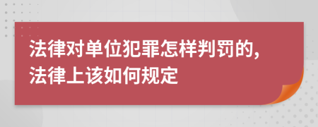 法律对单位犯罪怎样判罚的,法律上该如何规定