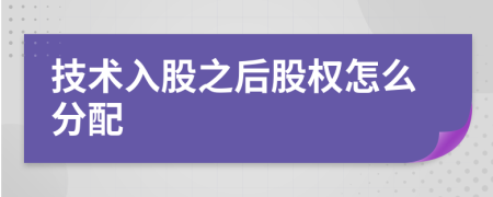 技术入股之后股权怎么分配