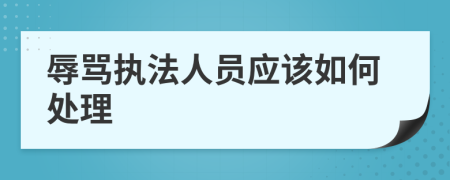 辱骂执法人员应该如何处理