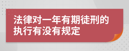 法律对一年有期徒刑的执行有没有规定