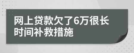 网上贷款欠了6万很长时间补救措施