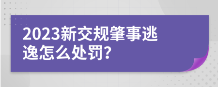 2023新交规肇事逃逸怎么处罚？