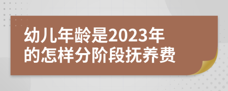 幼儿年龄是2023年的怎样分阶段抚养费