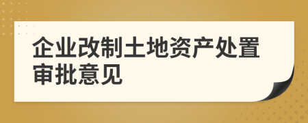 企业改制土地资产处置审批意见