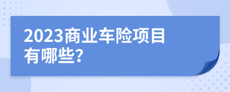 2023商业车险项目有哪些？