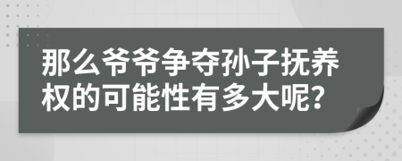 那么爷爷争夺孙子抚养权的可能性有多大呢？