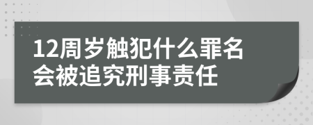 12周岁触犯什么罪名会被追究刑事责任