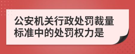 公安机关行政处罚裁量标准中的处罚权力是