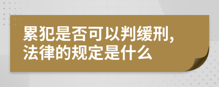 累犯是否可以判缓刑,法律的规定是什么