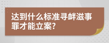 达到什么标准寻衅滋事罪才能立案?