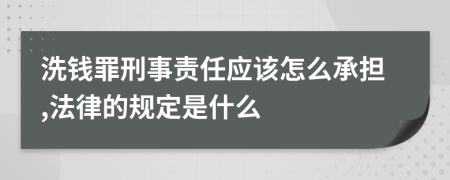 洗钱罪刑事责任应该怎么承担,法律的规定是什么