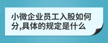 小微企业员工入股如何分,具体的规定是什么