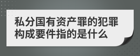 私分国有资产罪的犯罪构成要件指的是什么