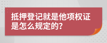 抵押登记就是他项权证是怎么规定的？