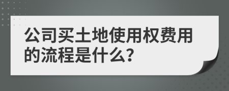 公司买土地使用权费用的流程是什么？