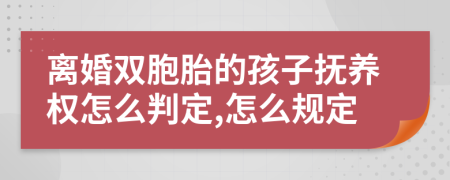 离婚双胞胎的孩子抚养权怎么判定,怎么规定