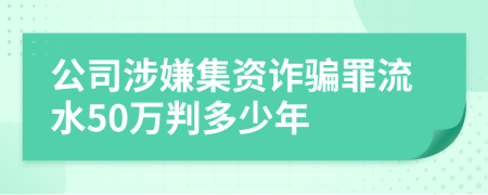 公司涉嫌集资诈骗罪流水50万判多少年