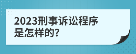 2023刑事诉讼程序是怎样的？