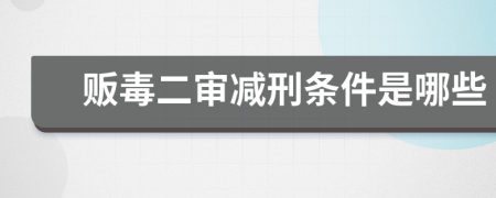 贩毒二审减刑条件是哪些