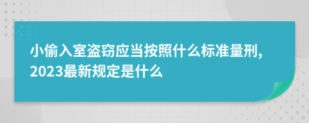 小偷入室盗窃应当按照什么标准量刑,2023最新规定是什么