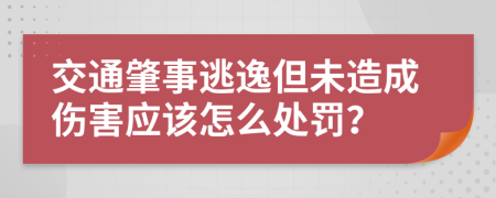 交通肇事逃逸但未造成伤害应该怎么处罚？