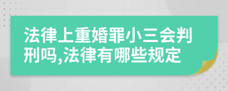 法律上重婚罪小三会判刑吗,法律有哪些规定