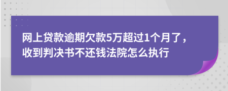 网上贷款逾期欠款5万超过1个月了，收到判决书不还钱法院怎么执行