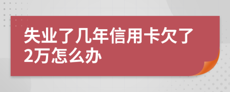 失业了几年信用卡欠了2万怎么办