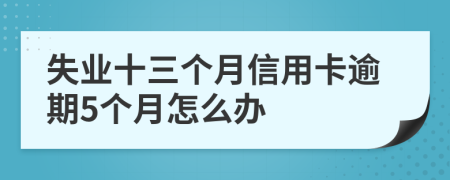 失业十三个月信用卡逾期5个月怎么办