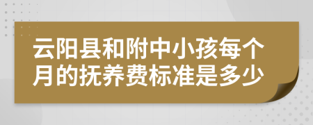 云阳县和附中小孩每个月的抚养费标准是多少