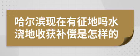 哈尔滨现在有征地吗水浇地收获补偿是怎样的