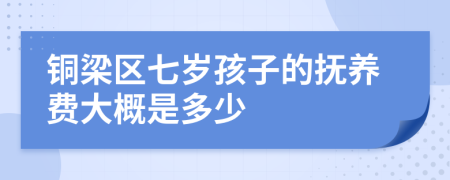 铜梁区七岁孩子的抚养费大概是多少