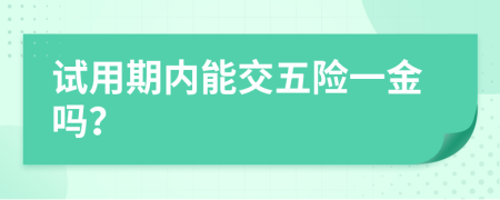 试用期内能交五险一金吗？