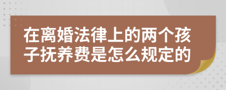 在离婚法律上的两个孩子抚养费是怎么规定的