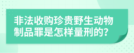 非法收购珍贵野生动物制品罪是怎样量刑的？