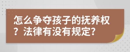 怎么争夺孩子的抚养权？法律有没有规定？