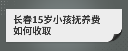 长春15岁小孩抚养费如何收取