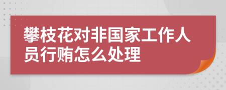 攀枝花对非国家工作人员行贿怎么处理