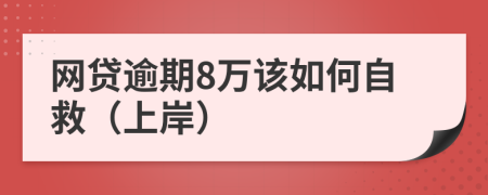 网贷逾期8万该如何自救（上岸）